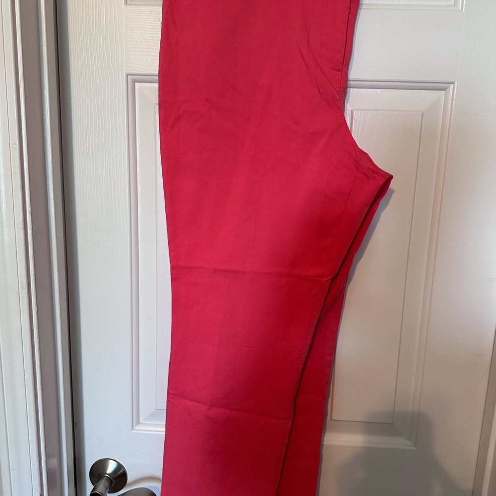 Vibrant Salomon colored pants